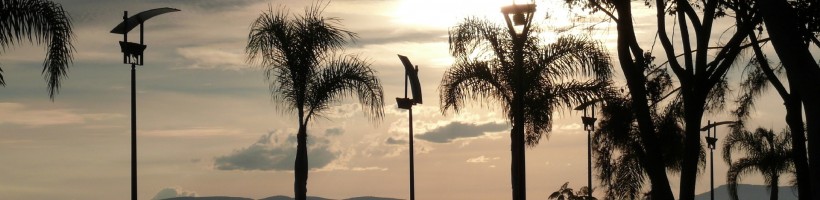 Welcome to mBear Creative