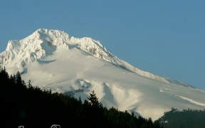 Mount Hood