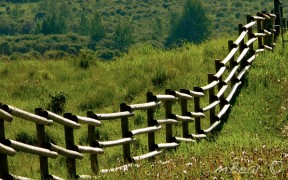 Following Fence Line